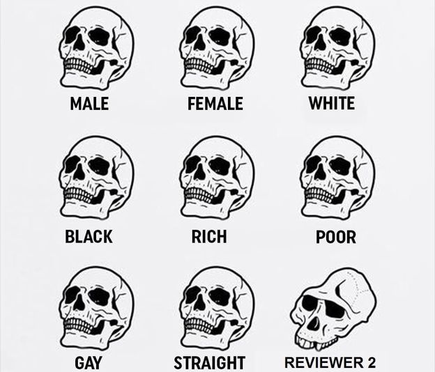 Reviewer2 meme