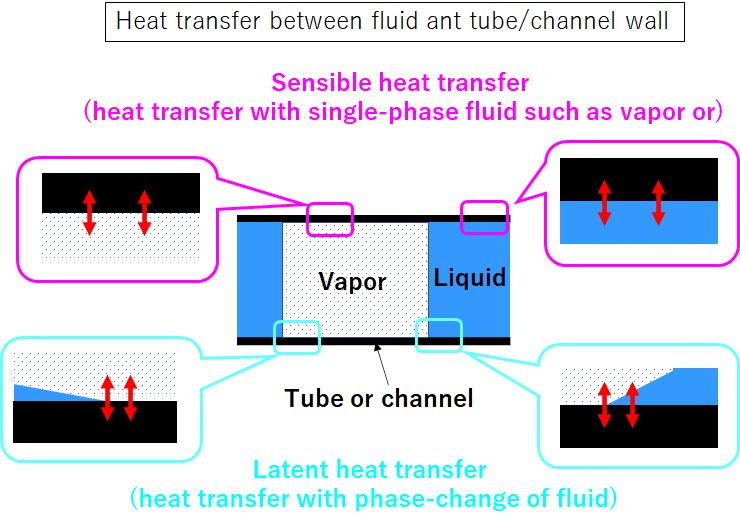 heat transfer of PHP