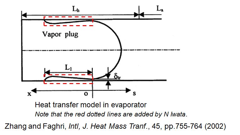 Zhang and Faghri's Heat transfer model